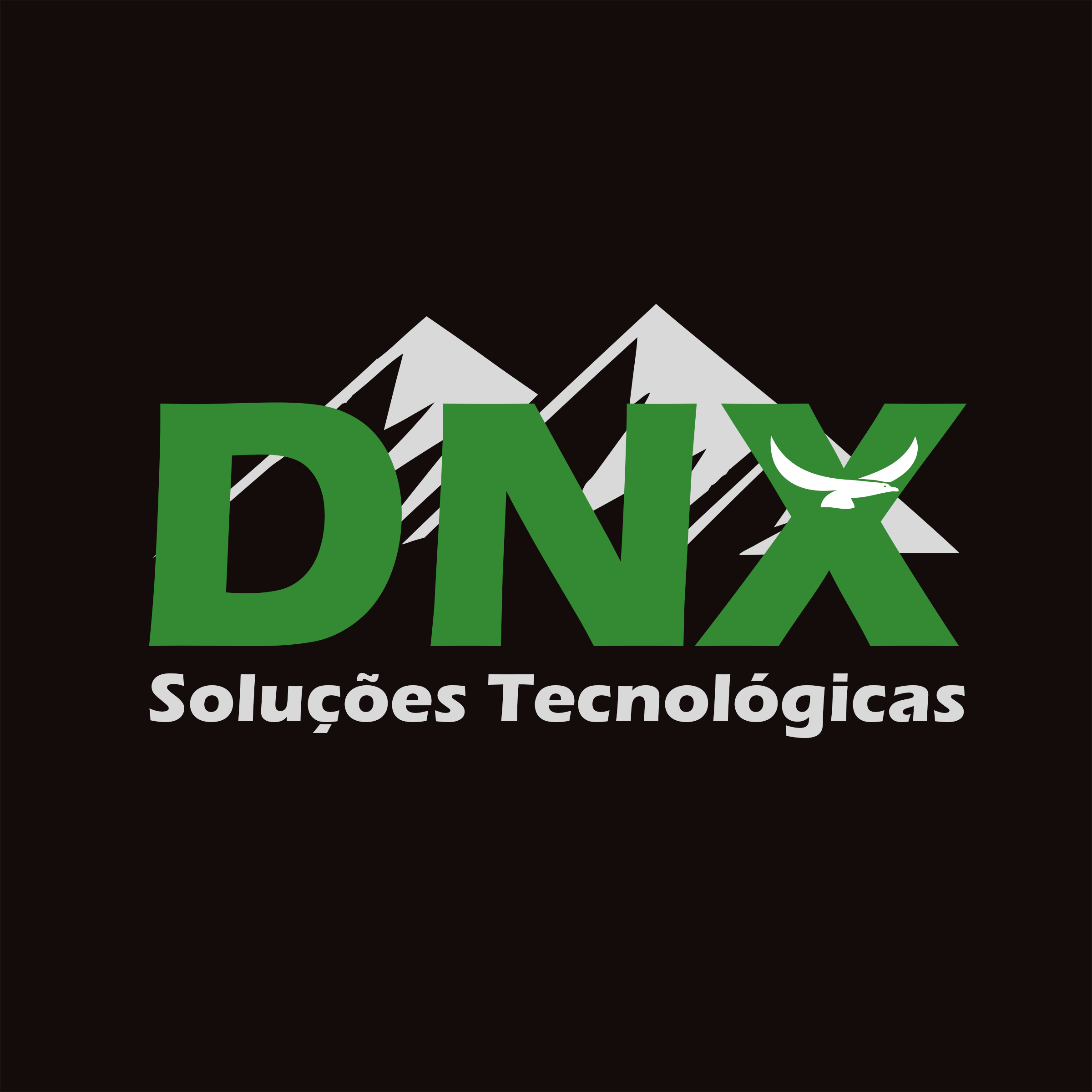 DNX Soluções Tecnológicas